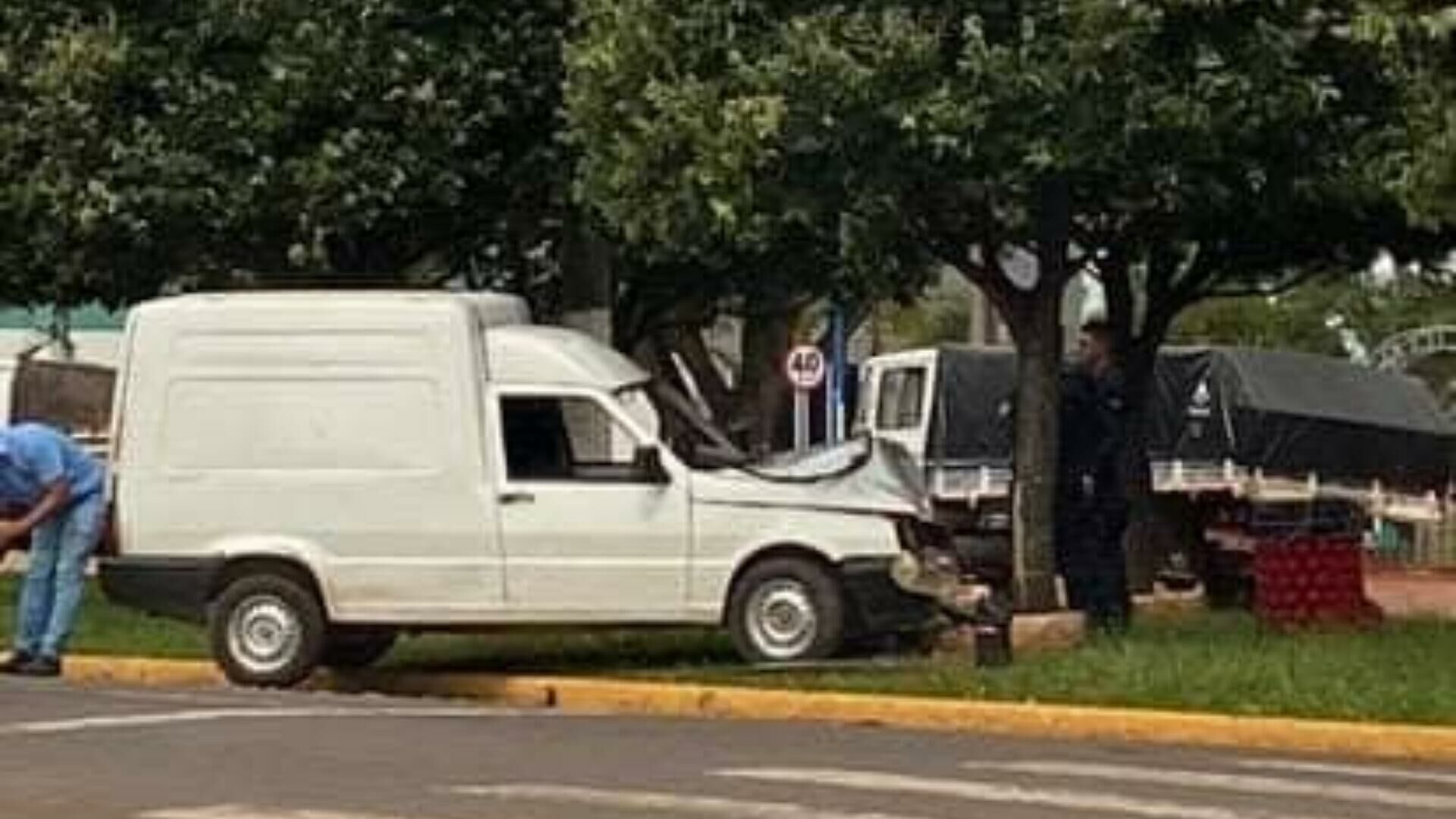 Imagem de compartilhamento para o artigo Motorista perde controle e bate contra árvore em avenida de São Gabriel do Oeste da MS Todo dia